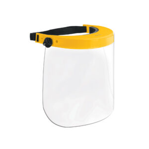 Protector facial, Pretul